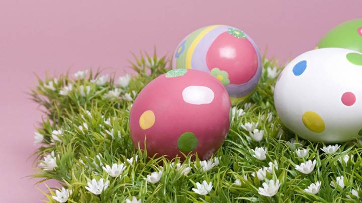 Colorful Painted Eggs On Green Leaves N Flowers